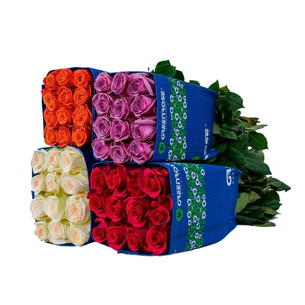 Colors Box