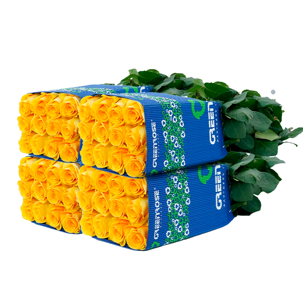 Solid Box