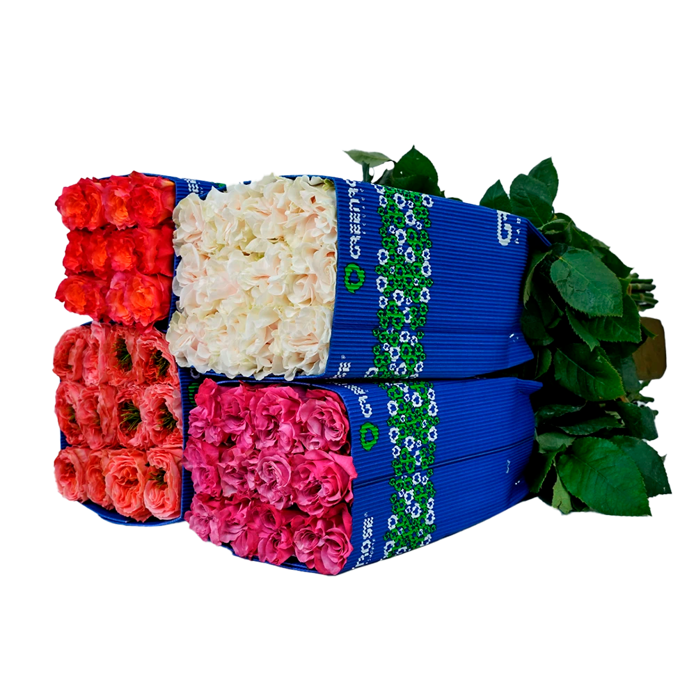 Garden Box