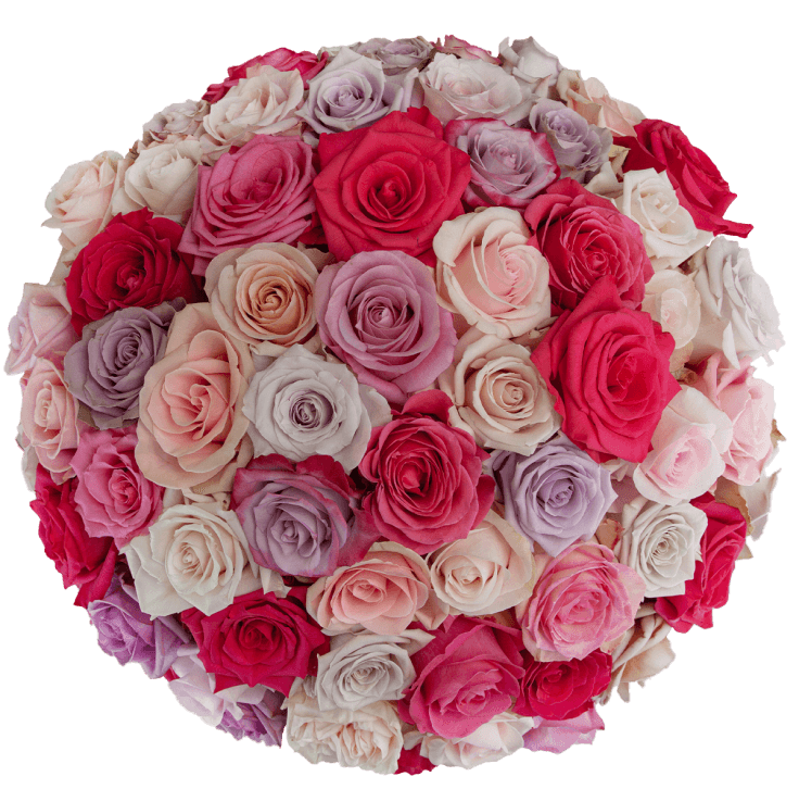 Mother’s Day