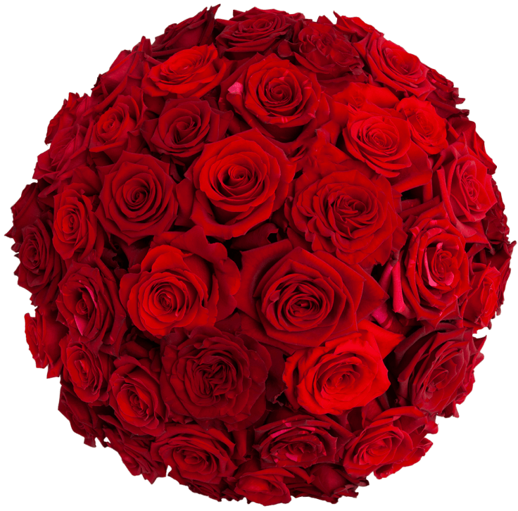 Valentine's Season